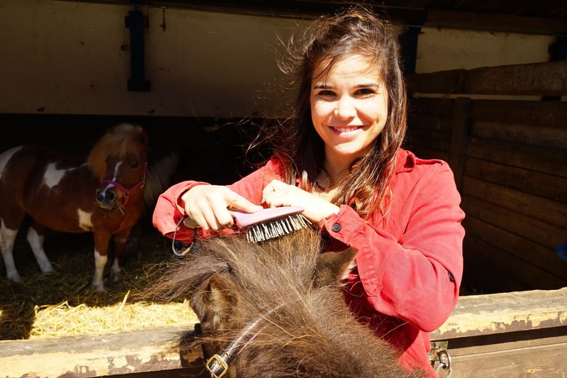 Anna Und Die Wilden Tiere Dinos