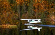 der monströses Wasserflugzeug