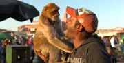 Affen-Dresseur auf dem Djemaa el Fna in Marrakesch