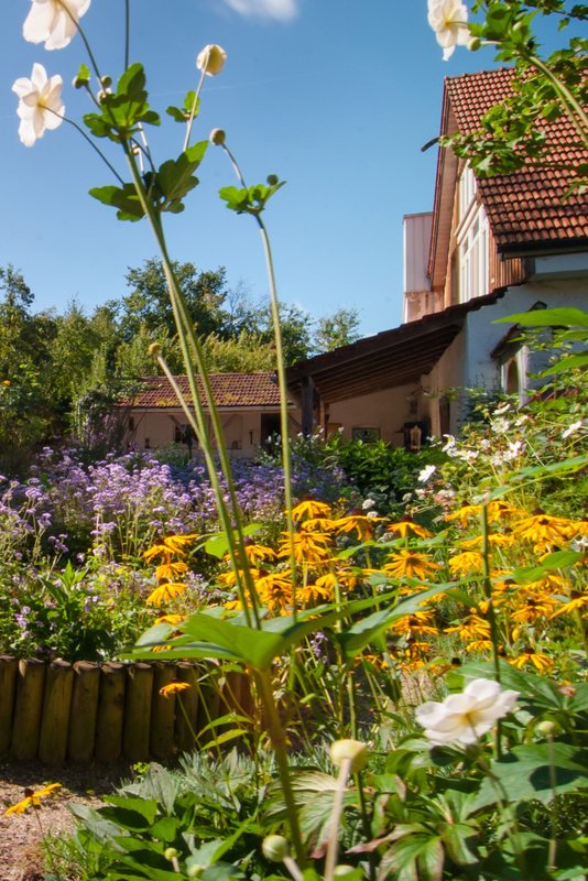 Geheimnisvoller Garten / Geheimnisse im Garten