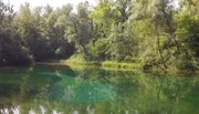 Altrheinarm Kaiserstuhl.