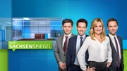 Moderatorenteam Andreas F. Rook, Gesine Schöps, Tino Böttcher und Anja Koebel (v.l.)