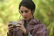 Drizella (Adelaide Kane)