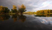 In Ungarns Auwäldern herrscht im Lauf der Jahreszeiten ein ständiger Wechsel zwischen Überschwemmung und Trockenheit. Tiere wie Fischotter oder Rotwild haben sich an den "launischen" Lebensraum angepasst.