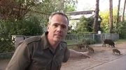 Futter vor der Haustür – in den Wald geht’s nur zum Schlafen.