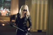 Black Canary/ Sara Lance (Caity Lotz)