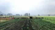 Dieses Feld bewirtschaftet Klaus Röder selbst.