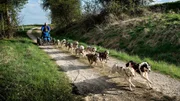 Stefan Wagner, Familienvater und Schlittenhundeführer, in der Fachsprache „Musher“ genannt, gewöhnt seine Hunde nach der langen Sommerpause wieder an den Trainings-Wagen. Dieser muss kontrolliert werden, vor allem die Bremsen, denn wenn die nicht funktionieren, kann es sehr gefährlich werden.
(Foto für alle Folgen verwendbar.)