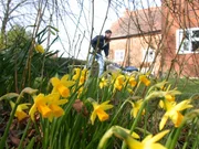 Alan Titchmarsh in Well Cottage Garden