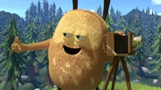 Kiwi macht ein Foto, das er in seinen neuen Bilderrahmen stecken kann.