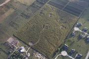 overhead close-up on the Richardson Family Farm, Beatles corn maze