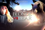 Blonde Vs. Bear.