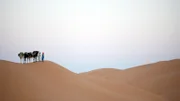 Kameltreiber in den Dünen von Merzouga