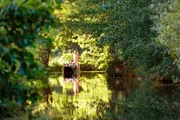 Der Spreewald ist ein UNESCO-Biosphärenreservat mit Wäldern und Wiesen, die von unzähligen Wasseradern durchzogen sind.