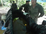 Ross Kemp zeigt, wie die globale Nachfrage nach Kokain zur Abholzung des Regenwaldes führt und dass der Anstieg des Goldpreises zur Folge hat, dass die Menschen den Regenwald zerstören, um ihren Lebensunterhalt zu verdienen.