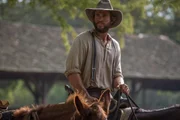 David Kingston (Liam Hemsworth)