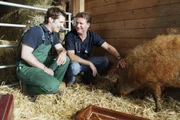 Nach einer Glykolvergiftung erholt sich Wollschwein Am?lie zusehends. Max und Tierpfleger Christian freuen sich, dass die Therapie gut anschl?gt.
V.l.n.r.: Andreas Mertel, Ralf Lindermann.
Honorarfrei - nur f?r diese Sendung bei Nennung ZDF und Daniela Incoronato