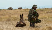 Diego and handler Paul