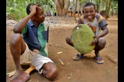 Rashidi (li.) und Hamisi (re.) mit einer bis zu 15 Kilogramm schweren Jackfrucht