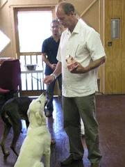 Familie Murray hat große Probleme mit ihrem Golden Retriever Cricket. Lyndon (r.) wurde sogar vor kurzem von dem Hund angegriffen. Kann der Hundeflüsterer Cesar Millan (l.) helfen?