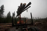 Ax men Season2 Clash of the Titans, Ax Men Staffel2 Aufholjagd
Truck being loaded with logs..