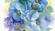 Schˆhnheit in blau