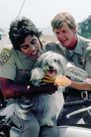 Officer Francis 'Ponch' Poncherello (Erik Estrada, l.) und Officer Jon Baker (Larry Wilcox)