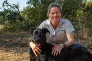 Der blinde Ruger, eine Mischung aus Labrador und Deutschem Schäferhund, gilt als eine der besten Spürnasen in Afrika, im Kampf gegen Wilderei. Jeden Tag geht er in Sambia auf Jagd nach illegalem Elfenbein und geschmuggelten Tieren und Pflanzen.