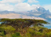 Szene aus «Traumflug durch Afrika - Von Kapstadt bis Kenia»: (Copyright SRF/NDR)