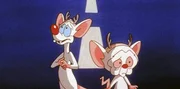 Pinky (li.) und Brain wollen die Macht über die Stadt Pittsburgh gewinnen.