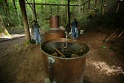 Mike and Jerry build their new still site.