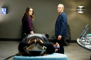 Jemma Simmons (Elizabeth Henstridge), Holden Radcliffe (John Hannah)