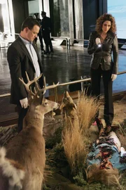 Im Naturkundemuseum wird eine von fleischfressenden Käfern fast vollständig skelettierte Leiche gefunden. Detective Taylor (Gary Sinise) und Detective Bonasera (Melina Kanakaredes) ermitteln.