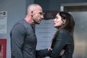 Dominic Purcell, Sarah Wayne Callies
