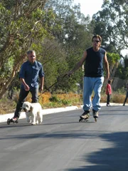 Dank Cesar Millan (l.) kann Vince Van Patten (r.) zukünftig sogar zum Rollerbladen gehen und den Terrierwelpe Charlotte mitnehmen ...