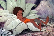 Mowgli (Bruce Reitherman)