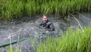 Abgetaucht! Um dicke Fische zu fangen wird alles riskiert. NDR Angler Heinz Galling beim Klootstockspringen in Friedrichstadt.