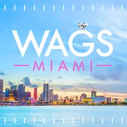 WAGS