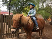 Der fünfjährige Jakob darf heute auf dem Ponyhof zum ersten Mal traben.Â