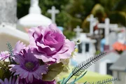 Der Friedhof