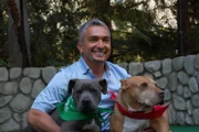 Cesar Millan stattet ehemaligen Problemfällen einen Besuch ab, um zu sehen ob sich die Beziehungen der Hunde und ihrer Besitzer auch auf lange Sicht entscheidend gebessert haben ...