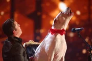Ein Duett vom feinsten: Zusammen mit ihrem Herrchen veredelt die argentinische Dogge "Lady Xena" Whitney Houston. Trifft sie für die Jury den richtigen Ton?