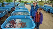 Peter Hagemans züchtet Goldfische. Anna erfährt von ihm, wie das geht.