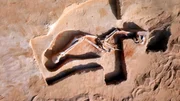 Die Überreste des am Lake Mungo gefundenen Mungo Man: der mit 42.000 Jahren älteste Homo sapiens, der außerhalb Afrikas entdeckt wurde.