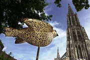 Das Ulmer Münster ist die Kirche mit dem höchsten Kirchturm der Welt und die größte evangelische Kirche in Deutschland.