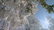Winter auf dem Predigtstuhl im Reichenhaller Talkessel.