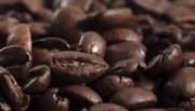 NDR Fernsehen PLIETSCH., "Wissen zum Weitersagen - Kaffee", am Montag (22.06.15) um 21:00 Uhr.
Was nach dem Genuss von der Bohne übrig bleibt, landet schnell im Müll. - Zu schnell? plietsch. findet für Sie heraus, wie man den Kaffeesatz noch nutzen kann.
