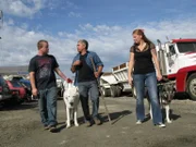 Holly (r.) und Robert (l.) bitten den Hundeflüsterer Cesar Millan (M.) um Hilfe, denn ihre beiden Wolfsmischlinge sind alles andere als pflegeleicht. Kann man Wölfe zu Haustieren umerziehen?