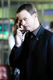 Gary Sinise (Det. Mac Taylor).