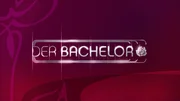 Der Bachelor